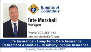 council insurance agent